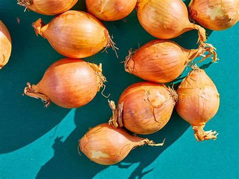 10 Home Remedies for Boils: Tea Tree Oil, Antibiotics & More.